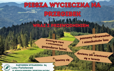 Startujemy!!!! Piłkarska Natura – w lesie i na boisku