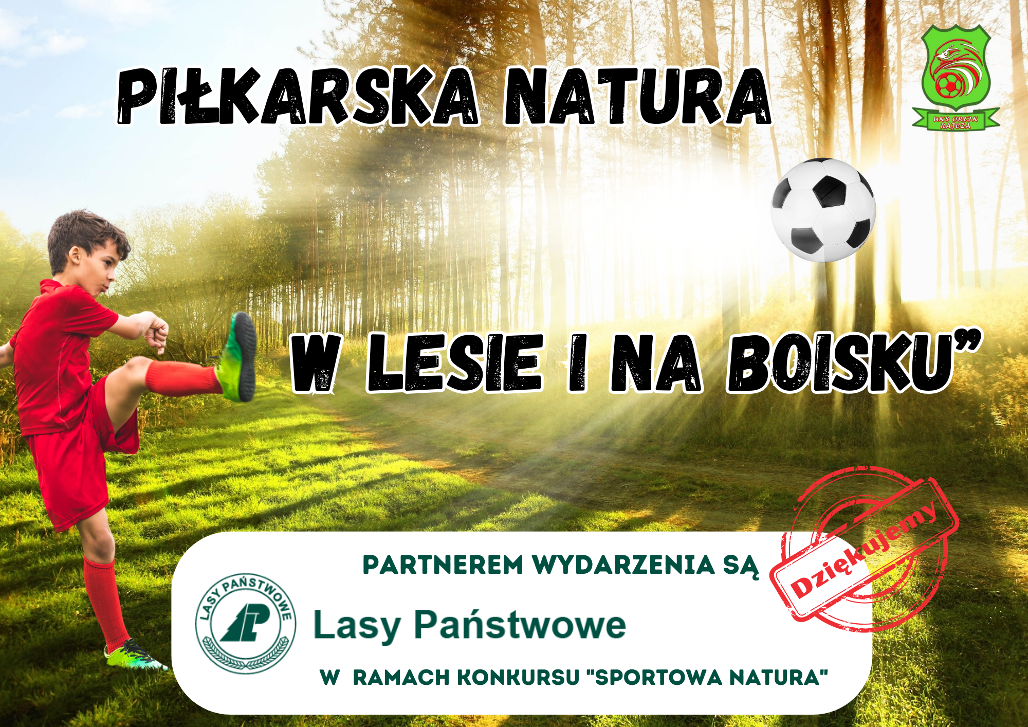 PIŁKARSKA NATURA - PLAKAT OGÓLNY